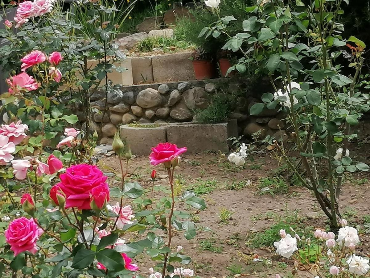 Aanhuizen Guest House สเวลเลนดาม ภายนอก รูปภาพ